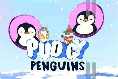 Fiat Currency, Pudgy Penguins (PENGU), Dash (DASH)
